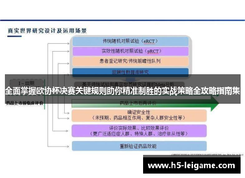 全面掌握欧协杯决赛关键规则助你精准制胜的实战策略全攻略指南集