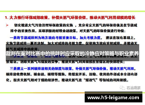 裁判在面对比赛中的挑衅时应采取的冷静应对策略与职业素养