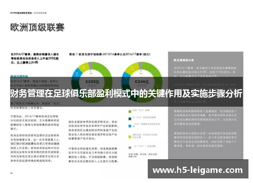 财务管理在足球俱乐部盈利模式中的关键作用及实施步骤分析