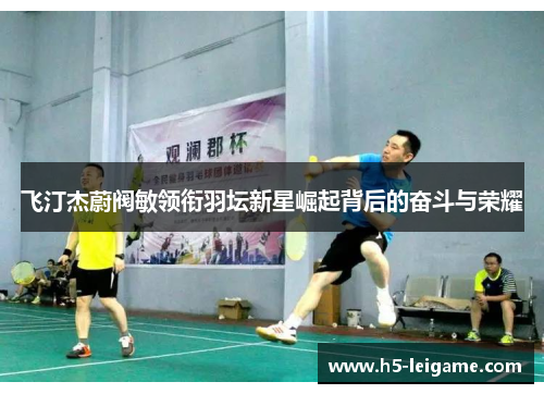 飞汀杰蔚阀敏领衔羽坛新星崛起背后的奋斗与荣耀